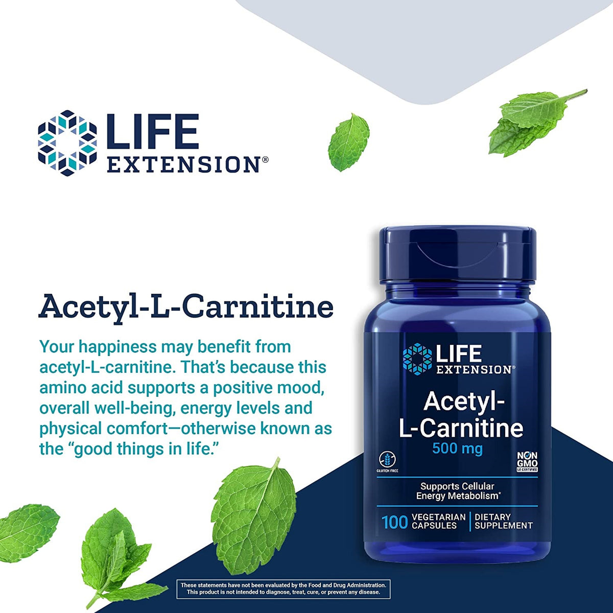 life extension acetyl l carnitine Life Extension, Acetyl-L-Carnitine, 500 mg, 100 Vegetarian Capsules – Healthlandcenter